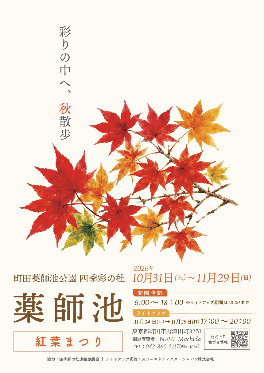 「薬師池 紅葉まつり」10月31日(土)から町田薬師池公園四季彩の杜 薬師池で開催 紅葉ライトアップと薬師雲海も