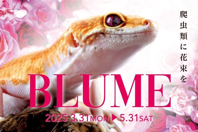 BLUME〜爬虫類に花束を〜|3月31日〜5月31日 奈良いきものミュージアム春イベント開催🌸