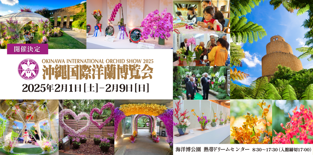 第37回 沖縄国際洋蘭博覧会|2025年2月1日(土)〜2月9日(日)海洋博公園・熱帯ドリームセンターで開催!国内外のランが咲き誇る花の祭典