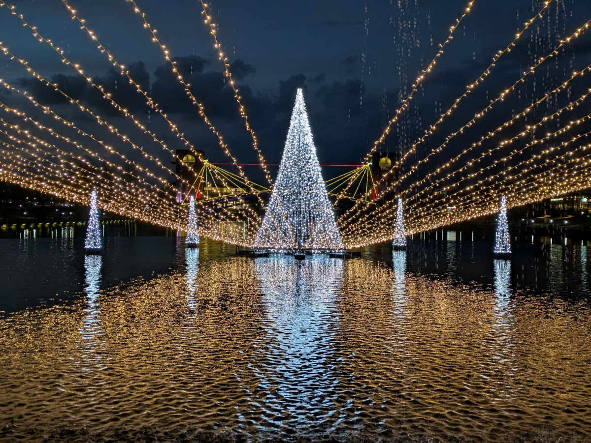 環水公園スイートイルミネーション2026|10月9日(金)〜2月28日(日)富岩運河環水公園をツリーと光で彩る