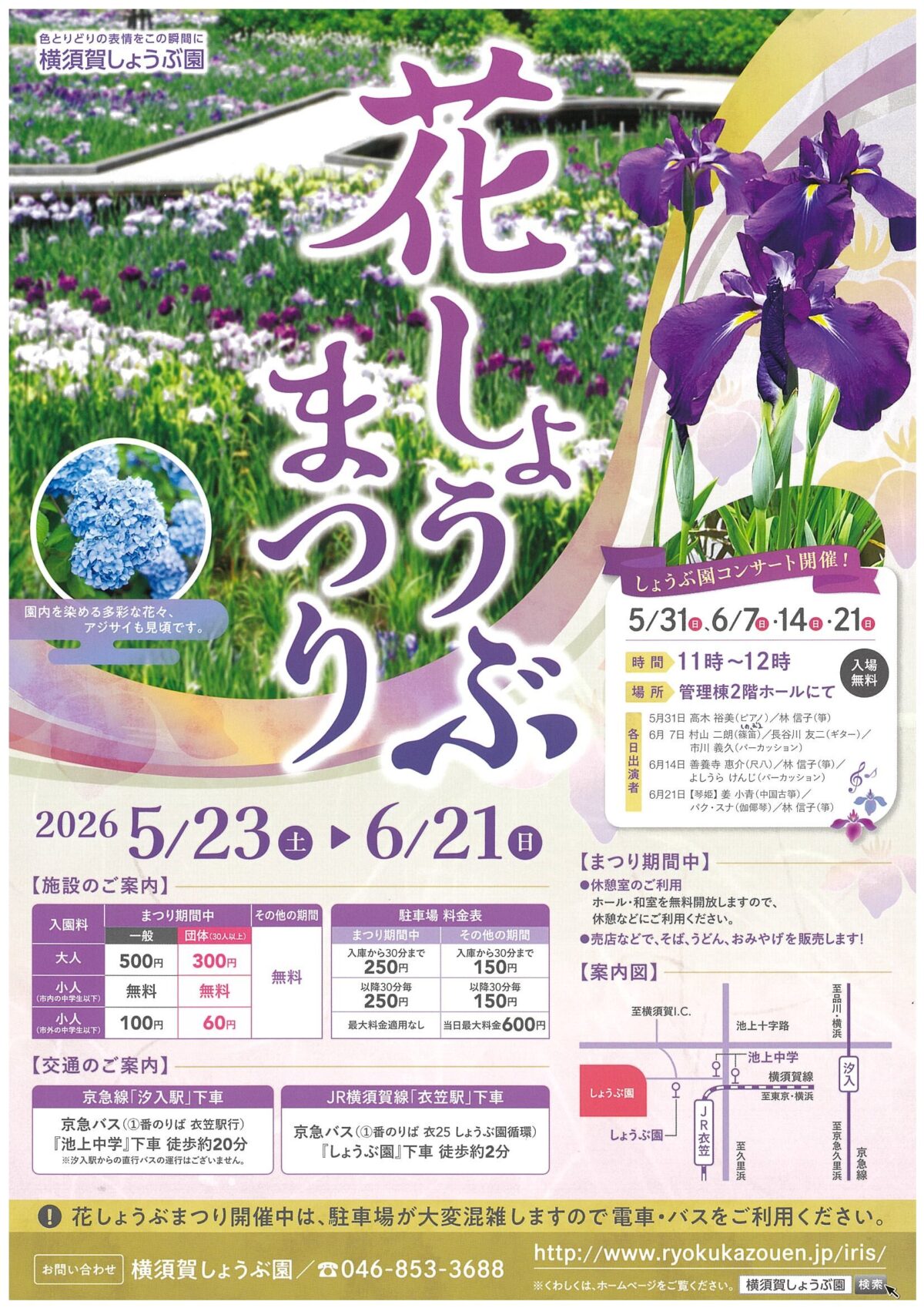 花しょうぶまつり｜2026年5月23日（土）〜6月21日（日）横須賀しょうぶ園でハナショウブとアジサイを楽しむ季節イベント